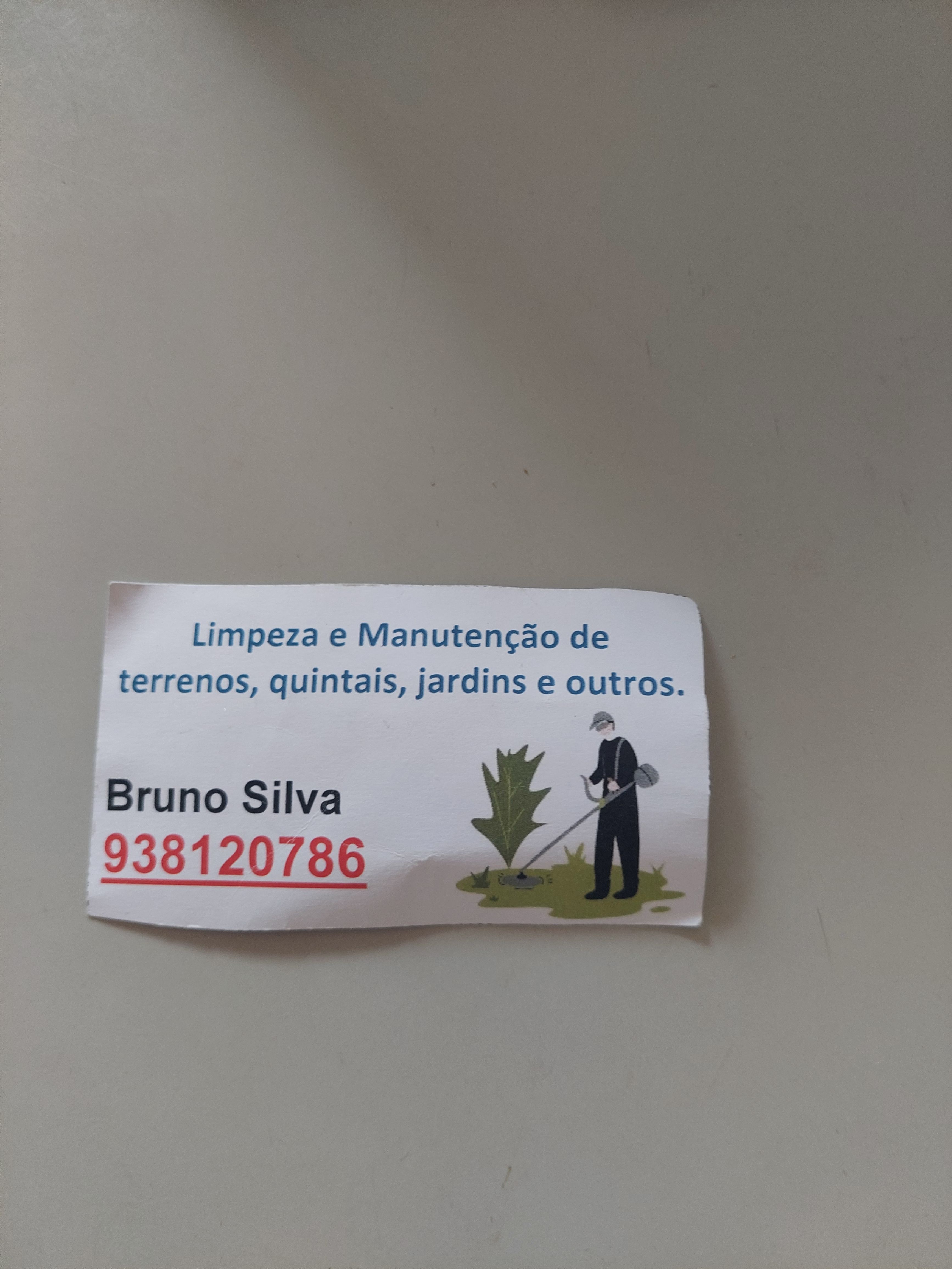 Bruno Silva 